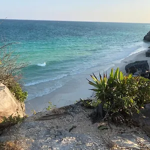 https://condo-in-resort-community.allrivieramayahotels.com
